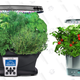 AeroGarden Gold Box | Amazon